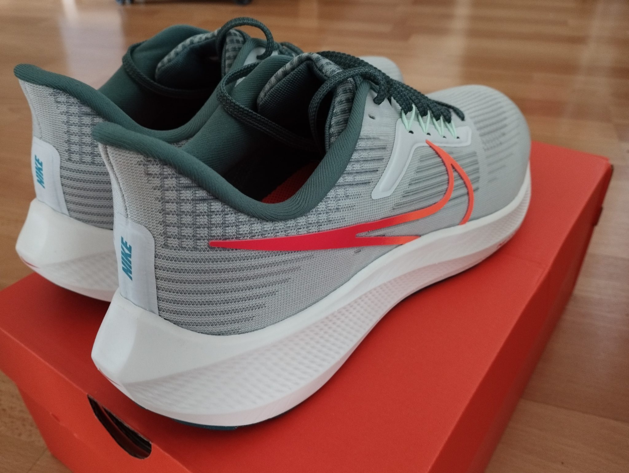 TEST COMPLET Nike Pegasus 39 Runningup